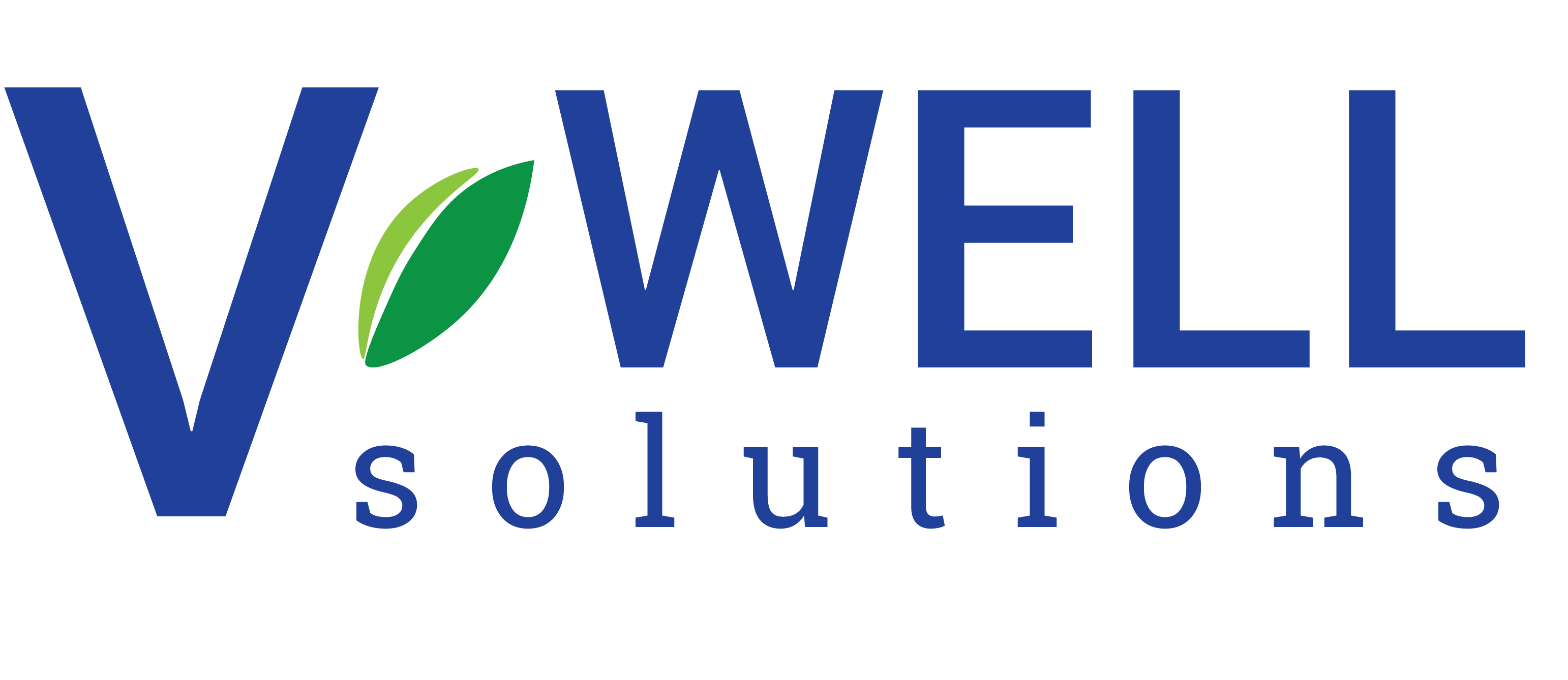 V Well Services – V-Well Solutions